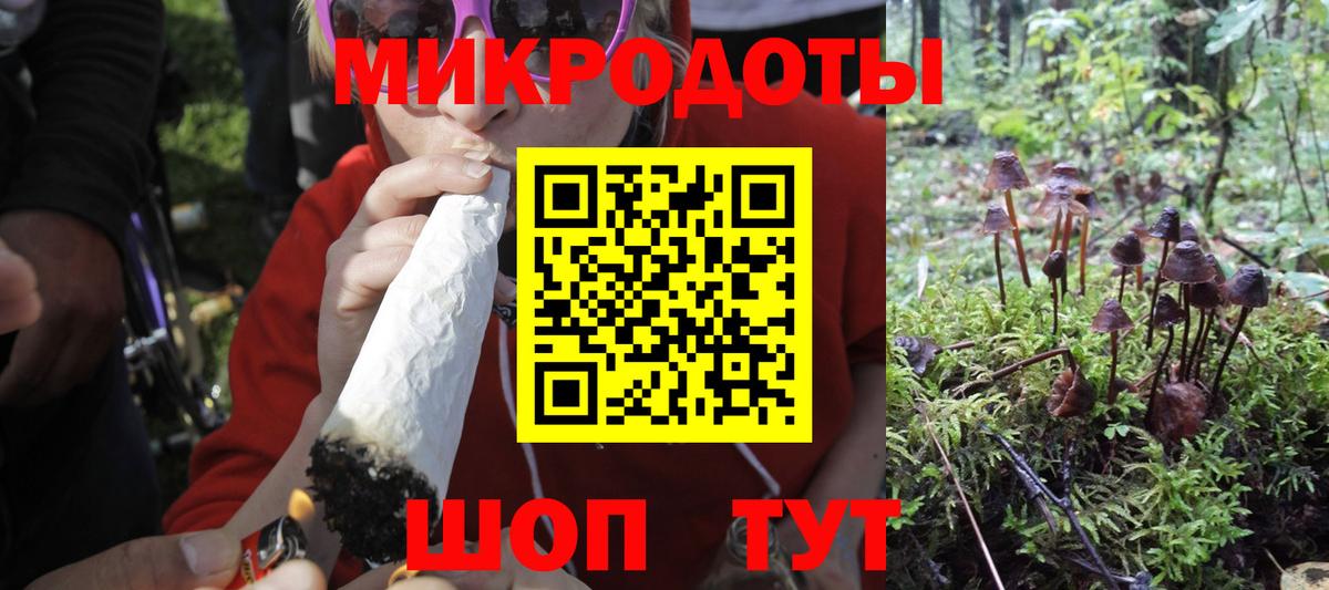 Галлюциногенные грибы Cubensis Белово